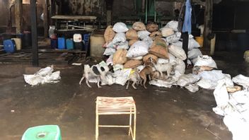 西ジャカルタの犬肉ジャグの所有者は主張したくなかった、販売と生活だけと呼ばれる