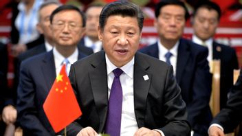 習近平国家主席:中国はウクライナにおける危機の対話と政治的解決を促進することを約束した