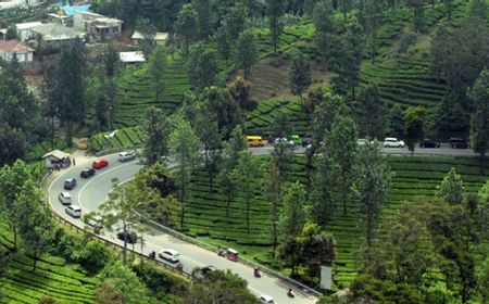 420 Lapak Pedagang di Puncak Bogor Bakal Digusur, 87 Bangunan Termasuk Warpat Ditertibkan