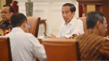 8 PSN yang Akan Diresmikan Jokowi hingga Akhir Tahun: Begini Kata Airlangga Hartarto