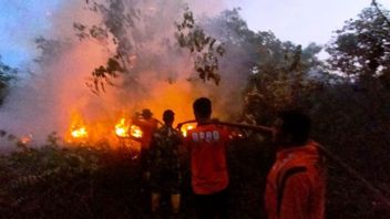 Sidorejo Penajam的3.4公顷森林和陆地火灾联合小组