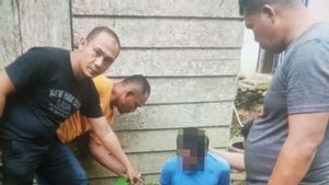 Pria di Ranah Batahan Sumbar Diringkus Polisi Gara-gara Tanam Ganja di Dalam 28 Polibag