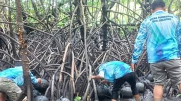 Maheux sur le marché, service de pêche Belitung formation communautaire Budi Daya Kepiting Patungu