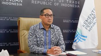 Minister Of Trade Lutfi Opens Up In Front Of Commission VI Of The House Of Representatives Regarding Expensive Cooking Oil Due To Rising CPO Prices