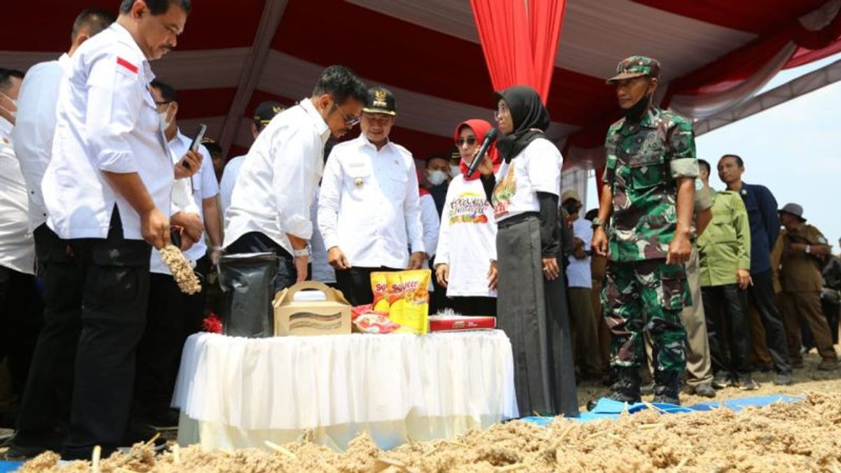 农业部长Syahrul希望高粱发展成为一种战略商品