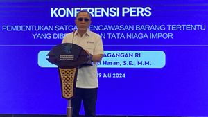 Satgas Impor Ilegal Resmi Dibentuk, Mulai Bertugas Pekan Depan