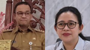 Tak Ada yang <i>New</i> di Prabowo, Politikus PDIP: Duet Puan-Anies Baswedan Lebih Sesuatu