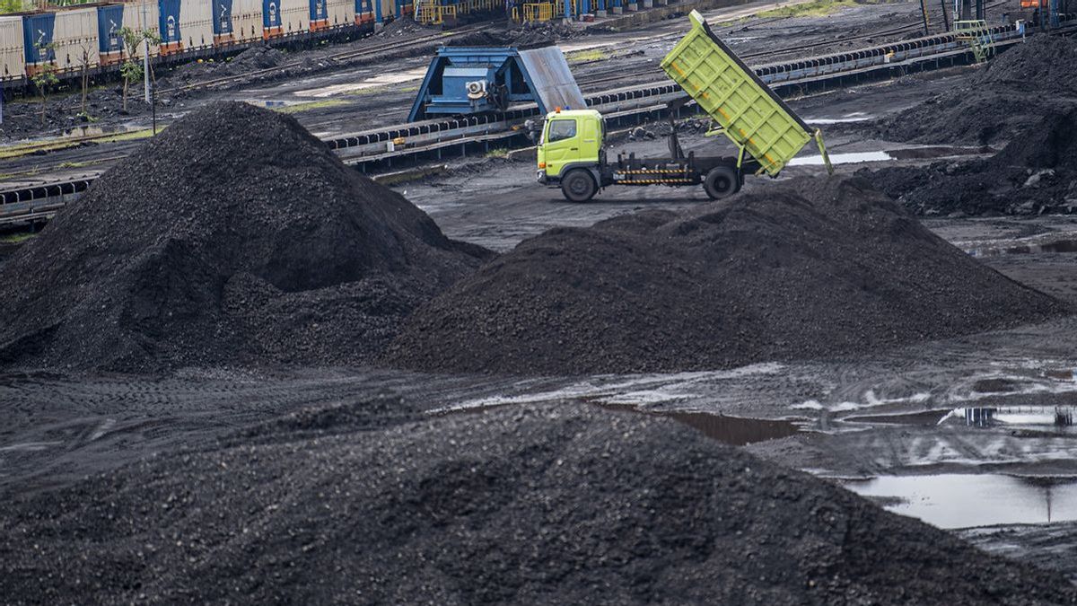 DPM-PTSP アクイ ジャンビの会社所有の石炭シェルターは許可を得ています