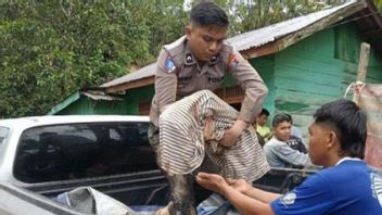 Korban Meninggal Akibat Bencana di Sumut Bertambah jadi 355 Orang
