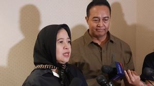 Puan Soal Budiman Sudjatmiko Temui Prabowo: Saya Tak Tahu Apa Ada Perintah, Tapi Boleh Saja Bersilaturahmi