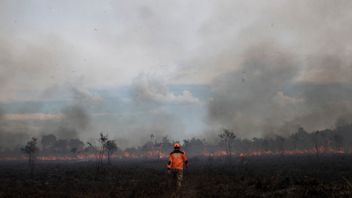 Belasan Hektare Lahan di Ogan Ilir Sumsel Terbakar, Api Sulit Dipadamkan