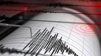 Earthquake M 7.6 Guncang Papua New Guinea: Retak Street, Alami Building Damage