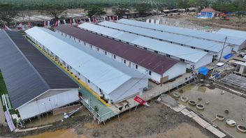 La collaboration entre Danantara et PTPP renforce la reprise après une catastrophe grâce à la construction de logements temporaires