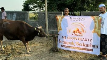 Seller MS GLOW Beauty Simultaneously Sacrifices Shares More Than 4 Tons Of Meat At Eid Al-Adha 1445 H