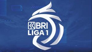 Terungkap! BRI Hanya Sponsori Liga Indonesia untuk Satu Musim Kompetisi, Nilainya Berapa ya?