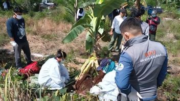 Pour trouver la cause du décès des orang-outans dans le village de Riam Kalbar, BKSDA procède à une chirurgie de résistance