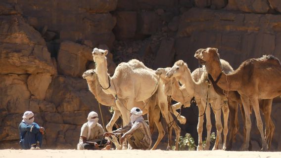 サウジアラビア経済に5億3,400万ドル/年を貢献するために、彼らの世話をすることは今AIシステムを使用することができます