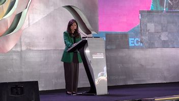 Menkomdigi Meutya信頼インドネシアのスタートアップはまだより速く成長することができます