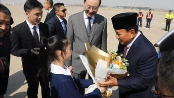 Prabowo En arrivant en Chine, rencontrant Xi Jinping, Premier ministre au ministre de la Chine