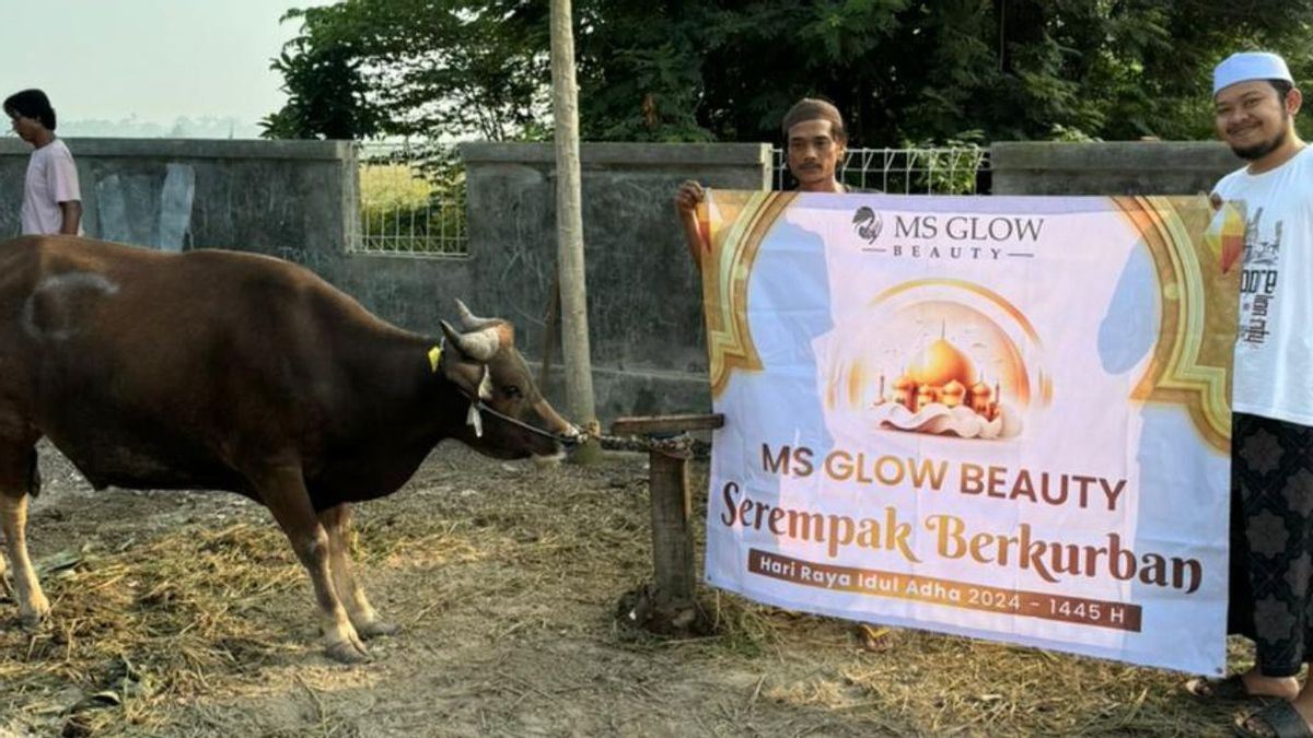 卖家MS GLOW Beauty Serempak Ber牺牲在Iduladha 1445 H分发了超过4吨肉