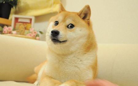 Foto Anjing Shiba Inu Lambang Uang Kripto Dogecoin Terjual Rp 56,8 Miliar