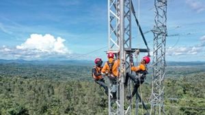 Dukung Pembangunan PLBN Napan, PLN NTT Salurkan Listrik 345 kVA