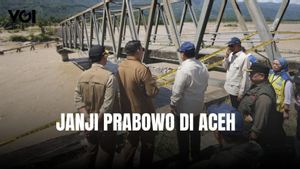 Presiden Prabowo Janji Percepat Perbaikan Jembatan di Aceh