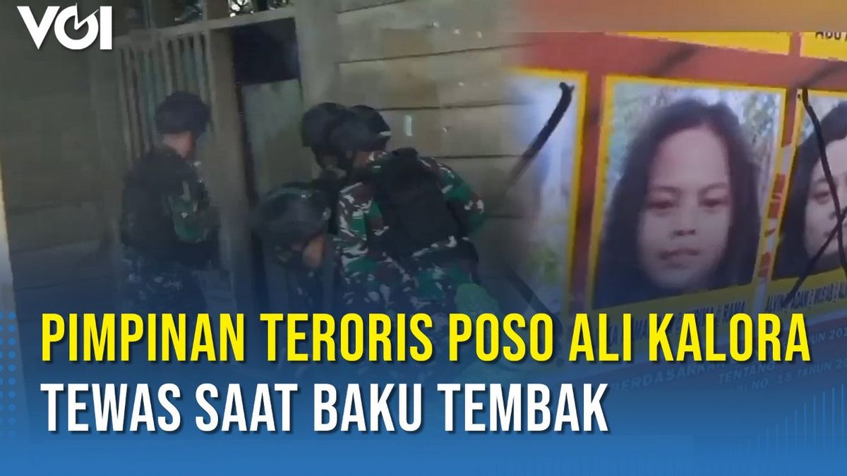 视频： 波索恐怖分子头目阿里 · 卡洛拉在与马达戈 · 拉亚特遣部队的枪战中丧生