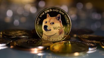 Mishaboar donne des conseils de sécurité à la communauté Dogecoin, Vérifiez ici!