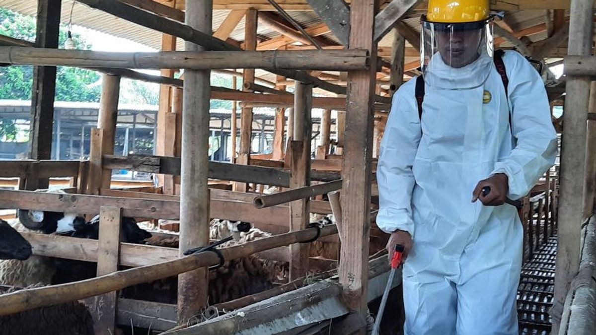 坦格朗的PMK上升到162例，工作组向牲畜提供维生素，笼子里喷洒消毒剂