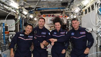 أربعة رواد فضاء على طاقم البعثة 2 العودة إلى الأرض على سبيس إكس طاقم التنين الصواريخ