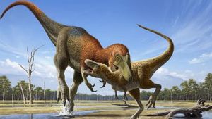The mystery of T. rex's Little Arm has been answered, its head is the main weapon