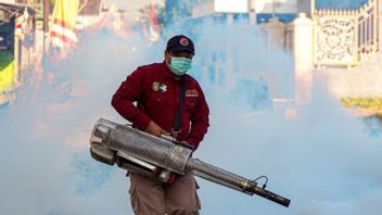 Des cas de dengue sont montés et 4 résidents de la ville de Bogor sont morts, le conseil d’administration de la ville d’Indonésie a demandé au quotidien RT