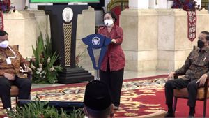 Megawati Kuatkan Jokowi Atasi Pandemi: Bapak yang Tegar