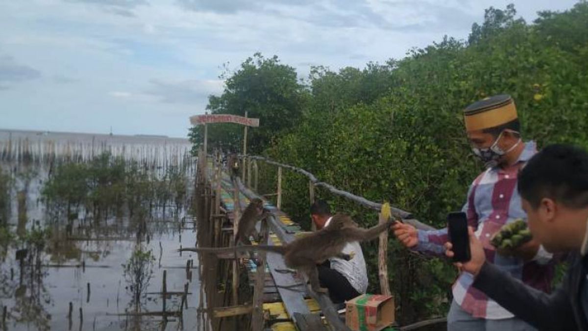 Babel Lakukan Penataan Muara Sungai Kurau untuk Pengembangan Desa Wisata