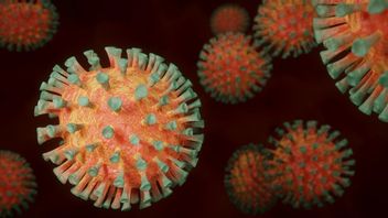 عام من وباء COVID-19، وأخيرا 10 مناطق في منطقة شرق جاوة الصفراء