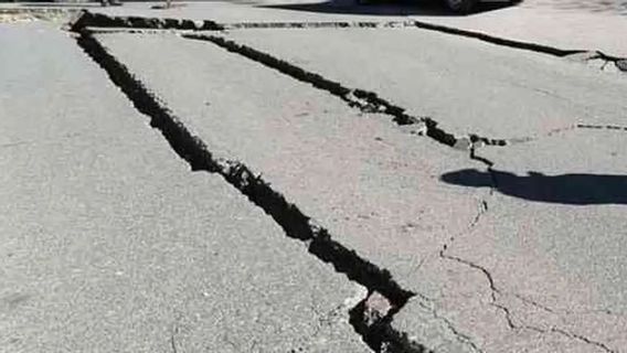 Gempa 6,0 M di Sulawesi Utara, Getaran Terasa di Gorontalo hingga Manado