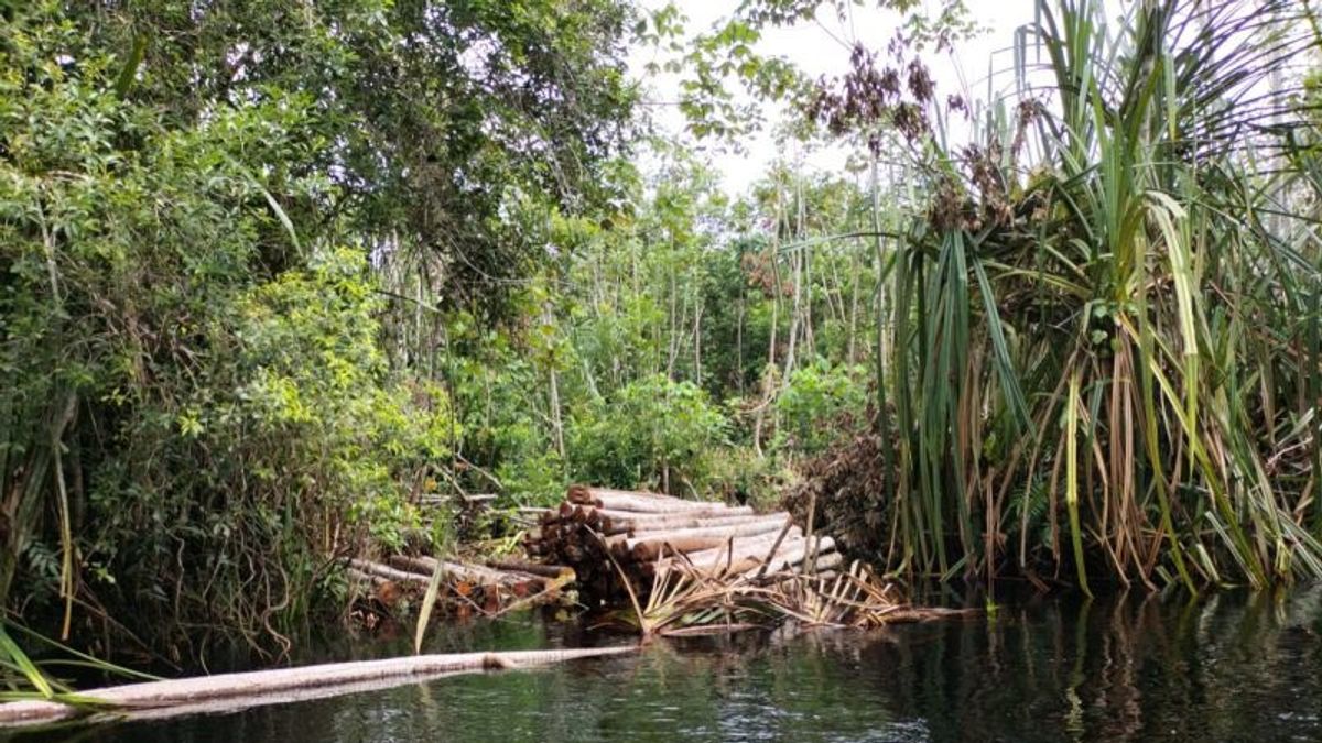 メランティ諸島の住民がトラに殺された、リアウBBKSDAが野生生物の生息地のケースの場所を呼ぶ