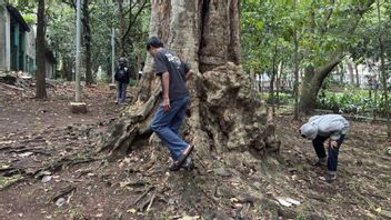 Fenomena Koin Jagat, Kapolda Metro Minta Jajaran Pantau Potensi Gangguan Keamanan