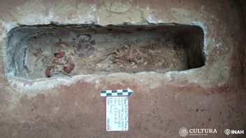 More Than 1,000-Year-Old Grave Found In Tourist Rail Project Construction Area