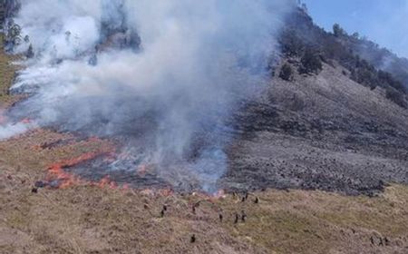 Kronologi Gunung Bromo Terbakar Akibat Flare: Diprediksi Gara-Gara Aktivitas Prewed