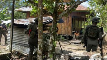 KKB Member Shoots TNI Soldier Arrested in Yahukimo, Papua Mountains