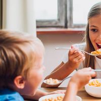 Menu Harian Anak untuk Otak Cerdas, Berikut Pilihan Makanan yang Wajib Dikonsumsi