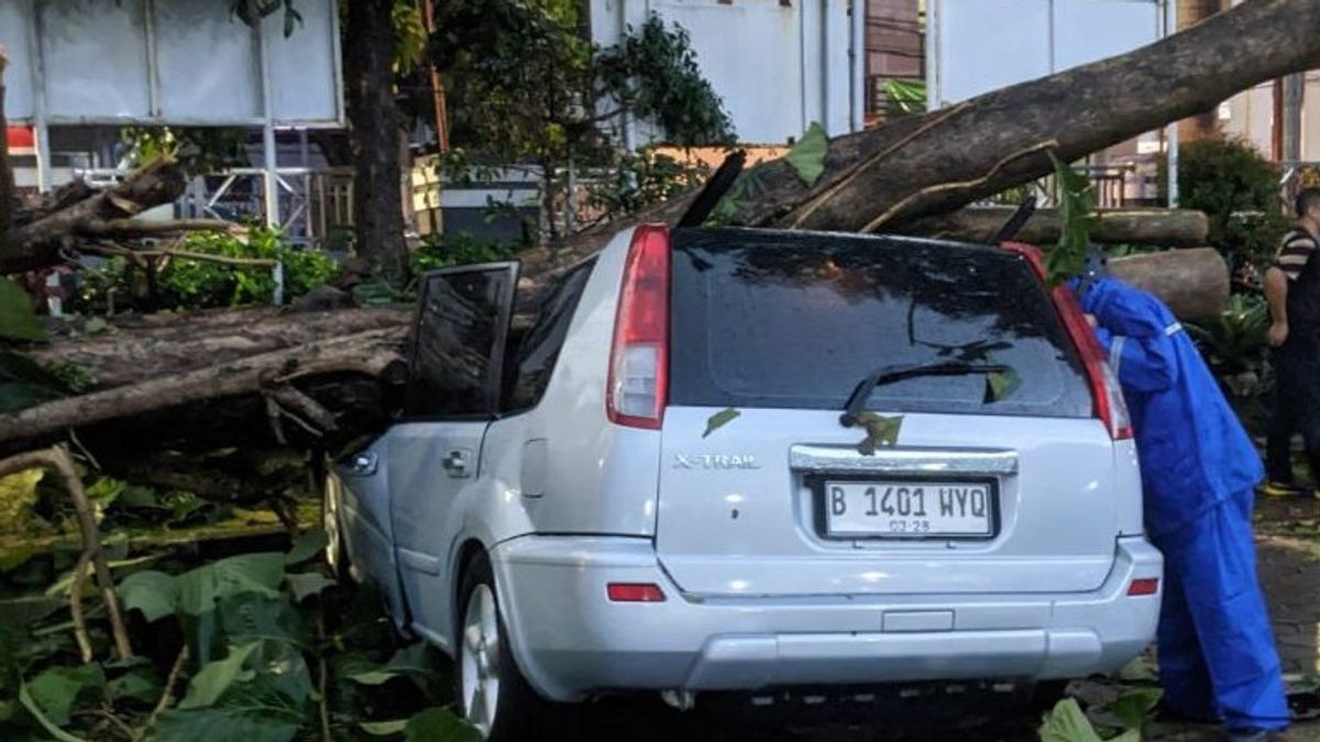 보고르 리젠시 정부 청사에 강한 바람이 불어 나무가 쓰러지고 차량 8대가 손상됨
