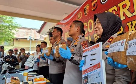 11 Paket Ganja Milik Pengedar di Bogor Selatan Sempat Disembunyikan di Areal Persawahan Saat Digeledah Polisi