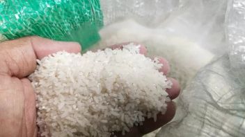 2 Million Tons Of Rice Import Quota, Bulog Boss Calls Already Secured 1.3 Million Tons