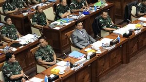 Polemik 'Gerombolan Ormas' yang Berujung Manis, Panglima TNI dan KSAD Duduk Bareng di Komisi I