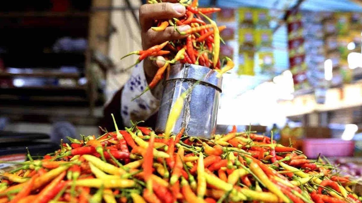 جاكرتا - بعد اختراق 200 ألف روبية إندونيسية ، الطقس والعقبات في توزيع جانبي كيروك سعر الفلفل الحار رويت باهظ الثمن