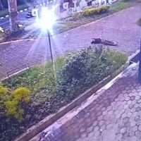 Mahasiswa Universitas Jember Tewas Setelah Terjun dari Lantai 8 Gedung Kampus