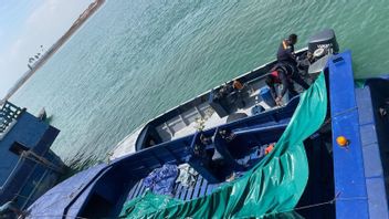 Bea Cukai Batam Gagalkan Penyelundupan Benih Lobster 60 Ribu Ekor, Pelaku Berhasil Lolos Masuk Hutan